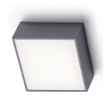 RED - Design Rendl- R11967 - Iluminação de teto exterior LED BONO LED/4W/230V IP54