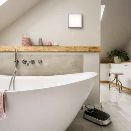 RED - Design Rendl- R11967 - Iluminação de teto exterior LED BONO LED/4W/230V IP54