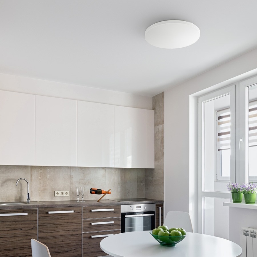 RED - Design Rendl - R12433 - Iluminação de teto LED SEMPRE LED/36W/230V redonda