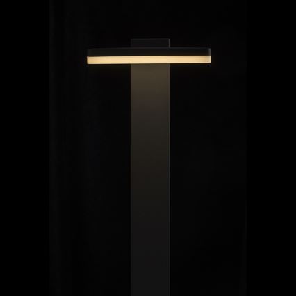 RED - Design Rendl - R12515 - Candeeiro exterior LED RINA LED/12W/230V IP44