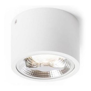RED-Design Rendl-R12633-Foco LED com regulação KELLY LED/15W/230V branco