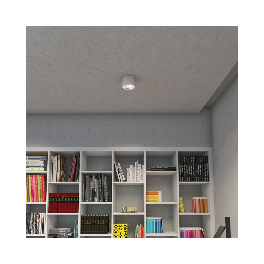 RED-Design Rendl-R12633-Foco LED com regulação KELLY LED/15W/230V branco