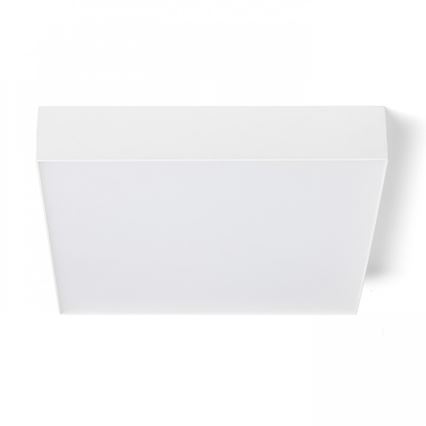RED - Design Rendl - R12850 - Iluminação de teto LED LARISA LED/30W/230V branca