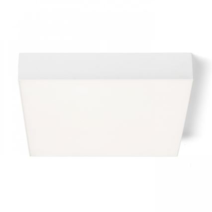 RED - Design Rendl - R12850 - Iluminação de teto LED LARISA LED/30W/230V branca