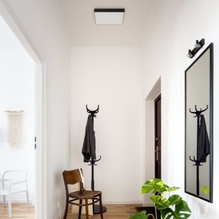 RED - Design Rendl - R13490 - Iluminação de teto LED LARISA LED/50W/230V preta