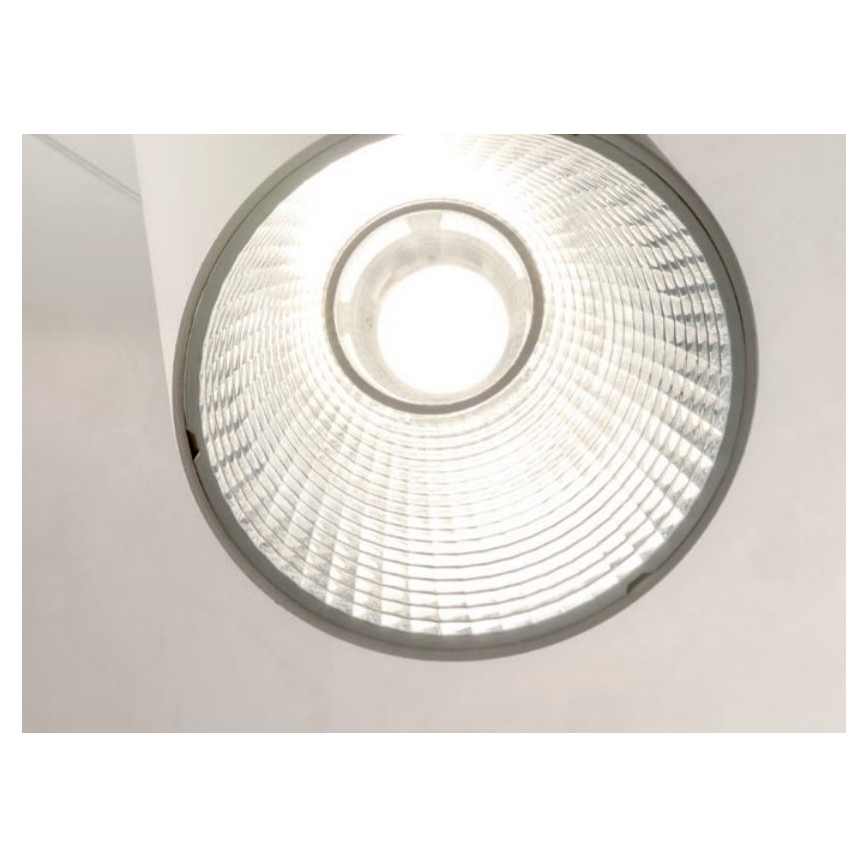 Redo 01-1970 - Candeeiro suspenso LED com regulação ESSENCE LED/24W/230V CRI 90 3000K branco