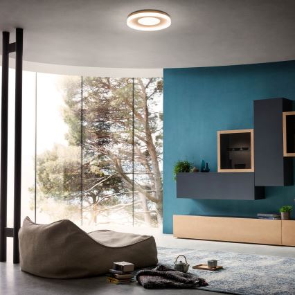 Redo 01-2004 - Candeeiro de tecto LED dimerizável MAYA LED/75W/230V Ø 60 cm dourado