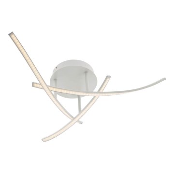 Redo 01-2184 - Iluminação de teto LED SPATHA 3xLED/6W/230V 3000K branco