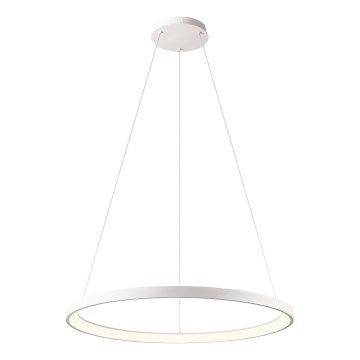 Redo 01-2675 - Candeeiro pendente dimável ICONIC em cabo, LED 60 W/230 V, diâmetro 78 cm, branco
