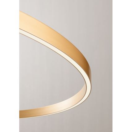 Redo 01-2835 - Aplique de parede LED regulável FEBE LED/24W/230V dourado