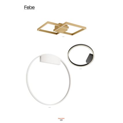 Redo 01-2835 - Iluminação de parede LED com regulação FEBE LED/24W/230V dourada