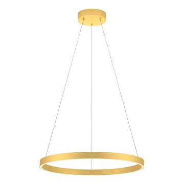 Redo 01-2865 - Lustre LED regulável suspenso por cabo FEBE LED/37W/230V dourado