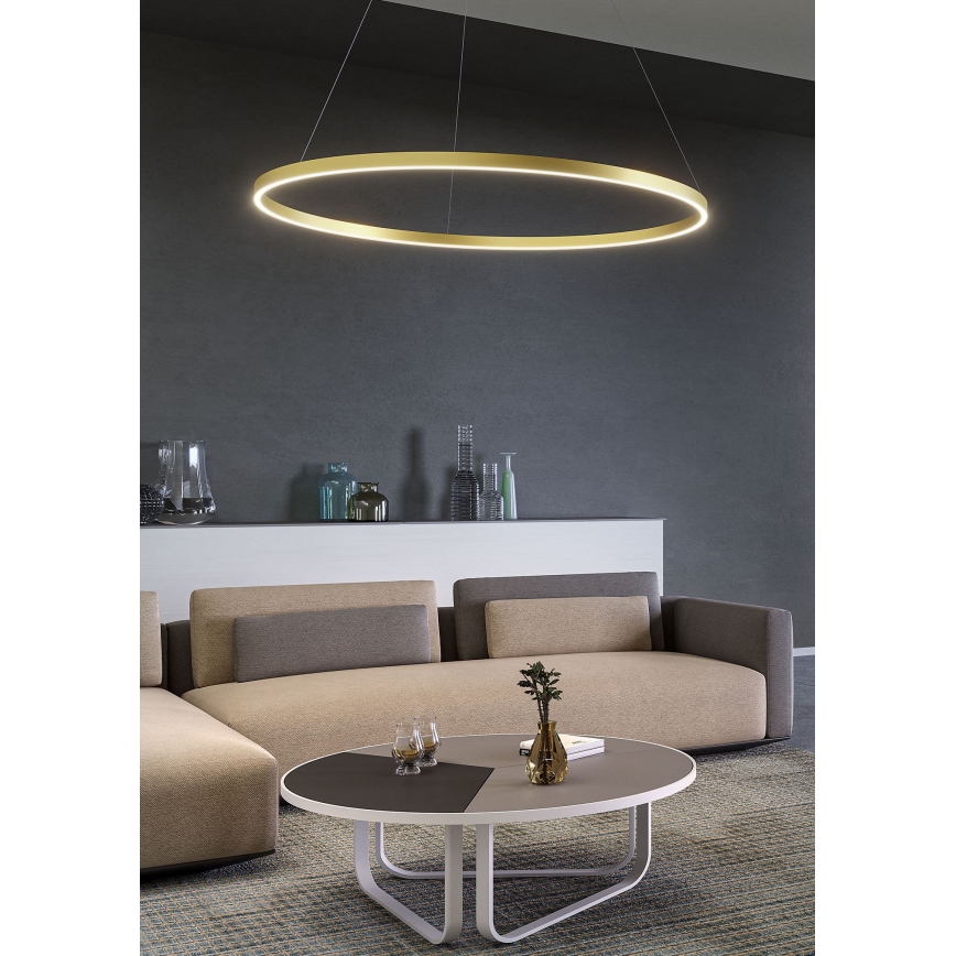 Redo 01-2889 - Lustre LED dimerizável suspenso por cabo FEBE LED/62W/230V dourado
