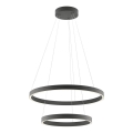 Redo 01-2891 - Candelabro suspenso LED com regulação FEBE LED/62W/230V preto
