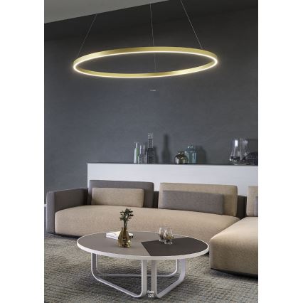 Redo 01-2891 - Candelabro suspenso LED com regulação FEBE LED/62W/230V preto