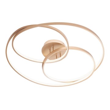 Redo 01-2973 - Iluminação de teto LED CENTRIX LED/92W/230V bronze