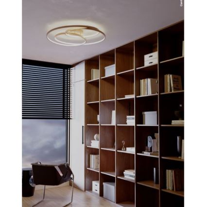 Redo 01-2973 - Iluminação de teto LED CENTRIX LED/92W/230V bronze