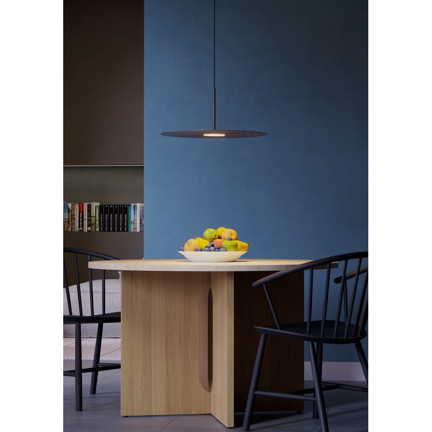 Redo 01-3047 - Lustre LED suspenso por cabo LAKE LED/13W/230V CRI 90 Ø 50 cm preto