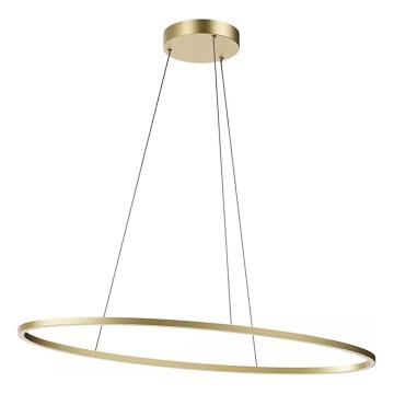 Redo 01-3338 - Lustre LED regulável suspenso por cabo LEO LED/48W/230V 3000/4000K CRI 90 40x95 cm bronze