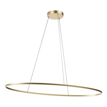 Redo 01-3341 - Lustre LED regulável suspenso por cabo LEO LED/67W/230V 3000/4000K IRC 90 60x130 cm bronze