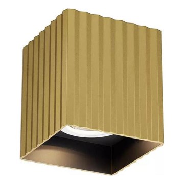 Redo 01-3408 - Spot orientável DELPHI 1xGU10/7W/230V 8,1x8,1 cm dourado