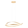 Redo 01-3616 - Lustre LED regulável suspenso por cabo IMPULS LED/38W/230V dourado