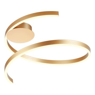 Redo 01-4011 - Luminária de teto LED regulável SCROLL LED/38W/230V 3000K/4000K/6000K CRI 90 diâmetro 60 cm dourada