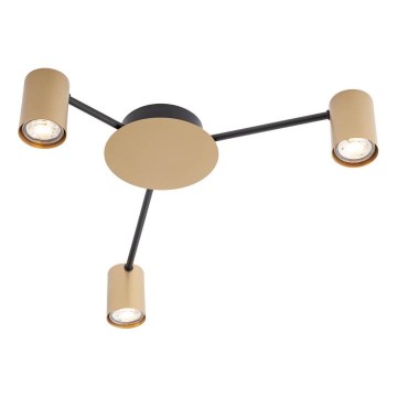 Redo 01-4049 - Foco NOA 3xGU10/10W/230V dourado