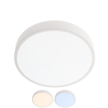 Redo 05-928 - Iluminação de teto LED KNOB LED/24W/230V 3000K-6500K 30 cm branco