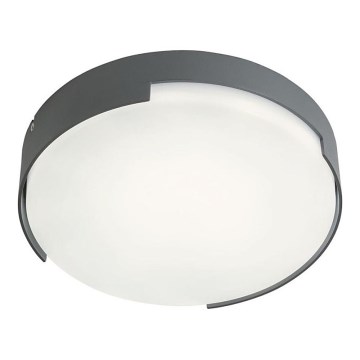 Redo 90005 - Iluminação de teto exterior LED SKOR LED/16W/230V IP54