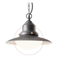 Redo 90094 - Cúpula de substituição para lustre e candeeiro ELIO, branca