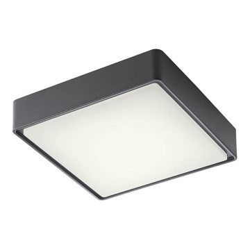 Redo 90157 - Iluminação de teto exterior LED MARINA LED/12W/230V 22x22 cm IP65 antracite