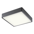 Redo 90158 - Iluminação de teto exterior LED MARINA LED/16W/230V 29,6x29,6 cm IP65 antracite