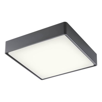 Redo 90158 - Iluminação de teto exterior LED MARINA LED/16W/230V 29,6x29,6 cm IP65 antracite