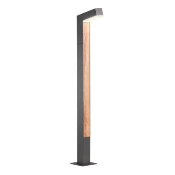 Redo 90512 - Candeeiro exterior LED WOODY LED/10W/230V IP54 antracite