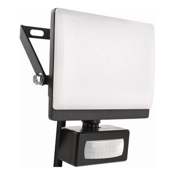 Refletor LED com sensor de movimento e de crepúsculo TAMBO EVO LED/20W/230V 4000K IP44 preto