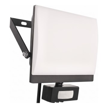 Refletor LED com sensor de movimento e de crepúsculo TAMBO EVO LED/30W/230V 4000K IP44 preto