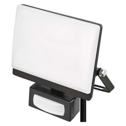 Refletor LED com sensor de movimento e de crepúsculo TAMBO EVO LED/20W/230V 4000K IP44 preto