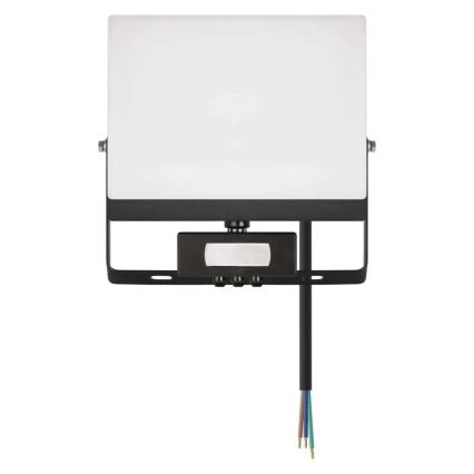 Refletor LED com sensor de movimento e sensor crepuscular TAMBO EVO LED/50W/230V 4000K IP44 preto