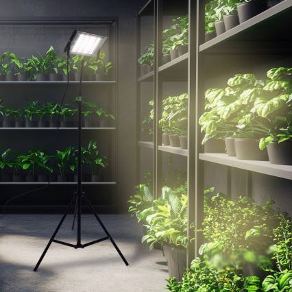 Projetor LED com tripé para cultivo de plantas FIRON LED/45W/230V IP54 preto