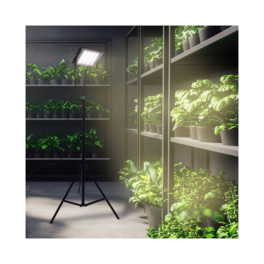 Projetor LED com tripé para cultivo de plantas FIRON LED/45W/230V IP54 preto