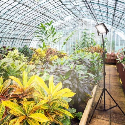 Projetor LED com tripé para cultivo de plantas FIRON LED/45W/230V IP54 preto