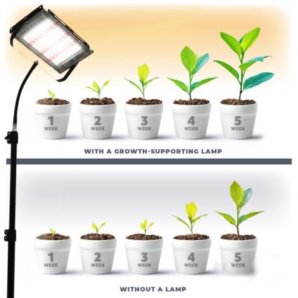 Projetor LED com tripé para cultivo de plantas FIRON LED/45W/230V IP54 preto