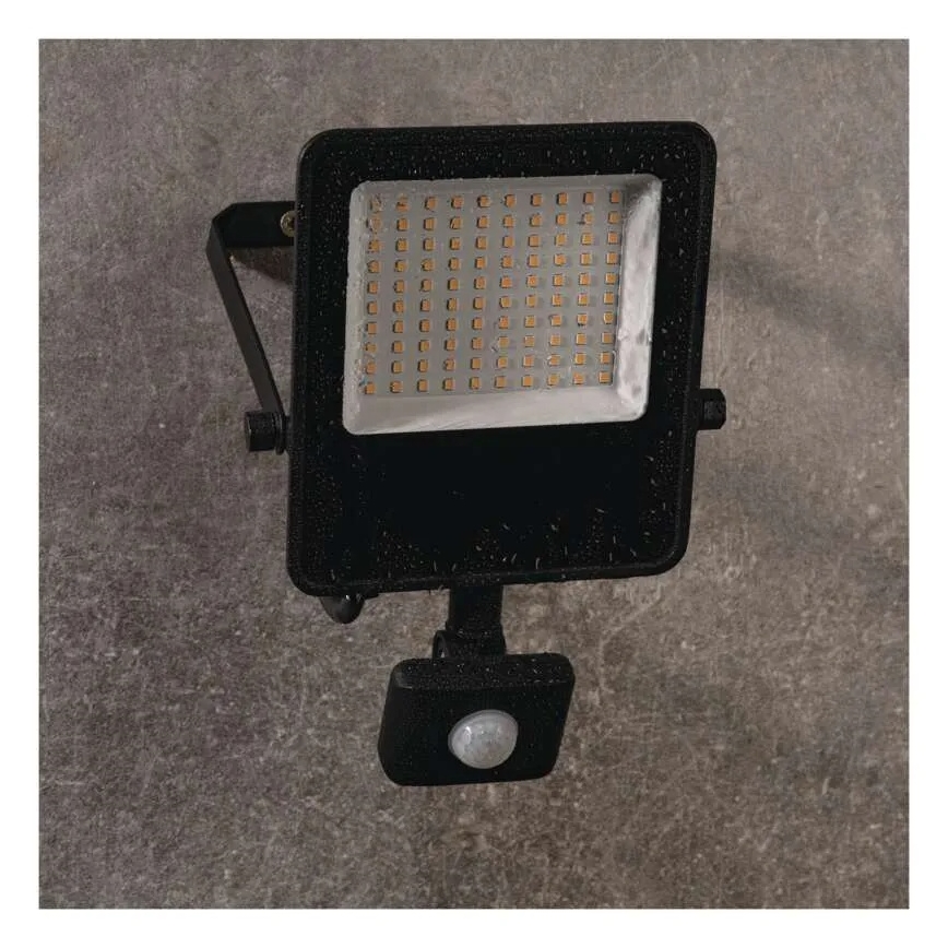 Projetor LED com sensor VISIO LED/50W/230V 4000K IP65