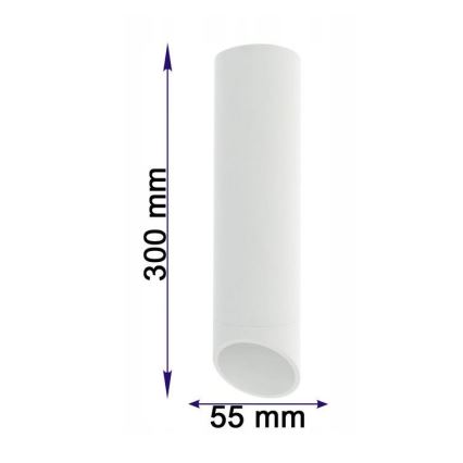 Refletor VALDA 1xGU10/60W/230V branco