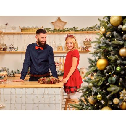 Decoração de Natal LED LED/2xLR44/branco quente casa