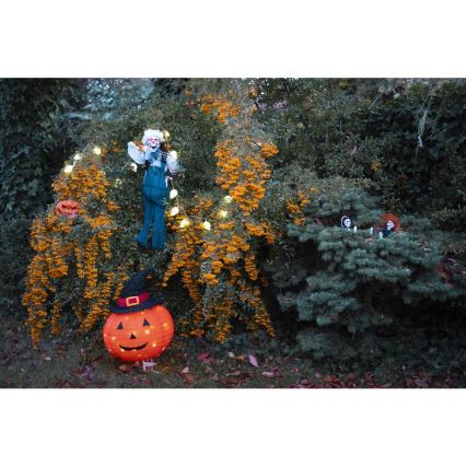Decoração para exterior LED HALLOWEEN LED/3xAA/branco quente IP44 pumpkin