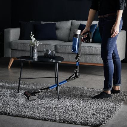 Rowenta - Aspirador vertical X-FORCE FLEX 250W/18V