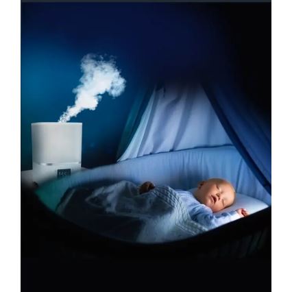 Rowenta - Humidificador de aire AQUA BOOST 2,5 l 115W/230V