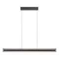 Schöner Wohnen 11316-18 - Lustre pendente LED dimerizável em cabo LENA LED/32W/230V 105 cm preto